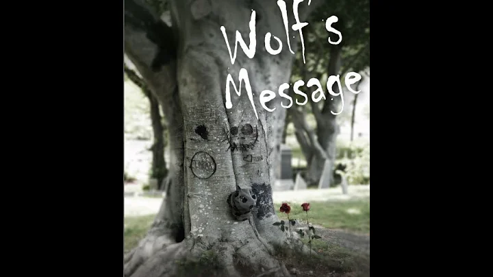 Wolf's Message - A True Story by Suzanne Giesemann
