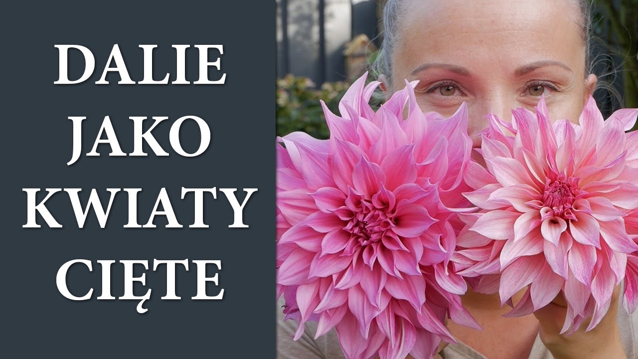 Jak zbierać DALIE do bukietów oraz przedłużyć ich świeżość / Odżywka do kwiatów DIY / MrsGarden