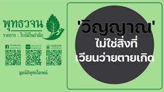 แจ่มศรีแหลงใต้สไตล์ฝรั่ง 19-05-2567 ตอน สร้างเหตุอายุยืน