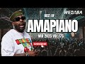 BEST OF AMAPIANO MIX 2025 DJ WEBABA