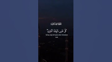 سورة العنكبوت بصوت عبد الرحمن مسعد #جامعه #automobile #اكسبلور