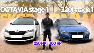 КОСА НА КАМЕНЬ!! BMW 320i stage1 300сил vs OCTAVIA 1.8 stage1 250сил