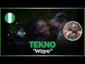 TEKNO AND VIBES 🚨🇳🇬 | Tekno - Wayo (Official Music Video) | Reaction