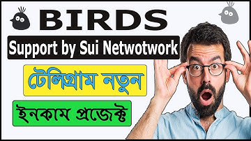 Birds নতুন টেলিগ্রাম মাইনিং ইনকাম প্রজেক্ট | Backed by Sui Network | কেউ মিস করবেন না