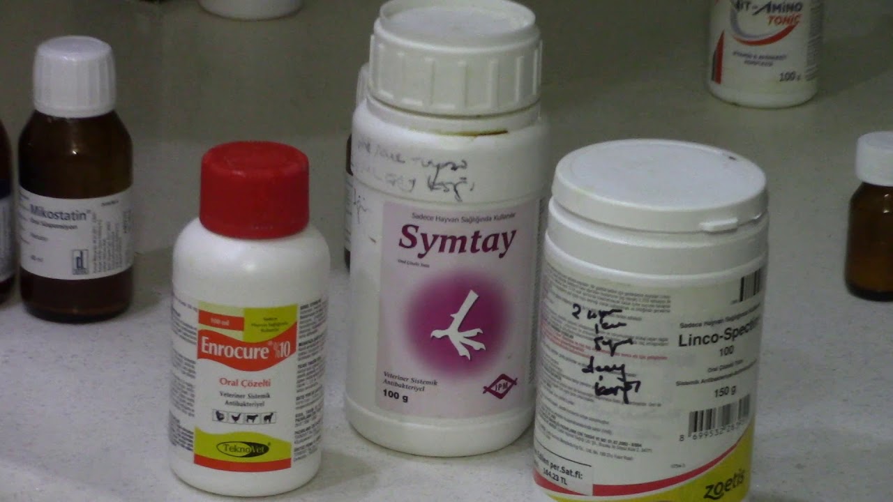 Yaz Döneminde Üretime Hazırlık