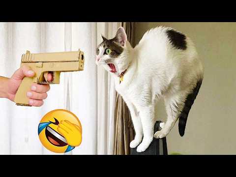 New Funniest Cats and Dogs Clips 2026😼🐶Try Not To Laugh😜