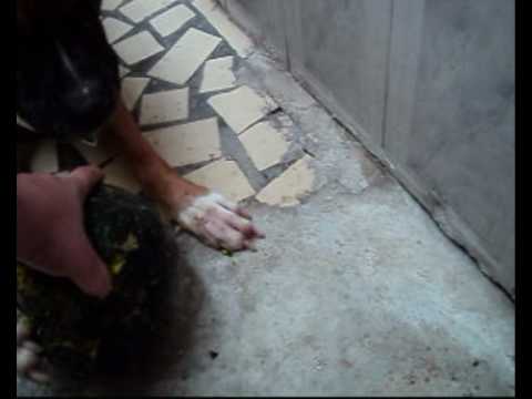 thor_0001.wmv