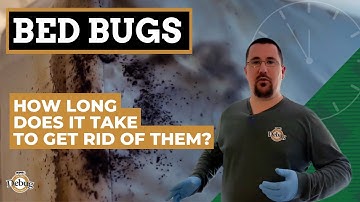 How long does it take an exterminator to get rid of bed bugs?