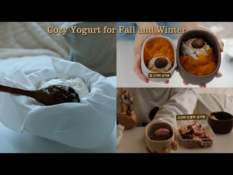 구황작물 파티 그릭요거트로 싸는 직장인 도시락/ 저속노화 식사