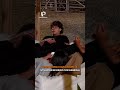 TEAM VÍBORAS HABLA SOBRE LA SITUACIÓN DE DIEGO CON GABRIELA