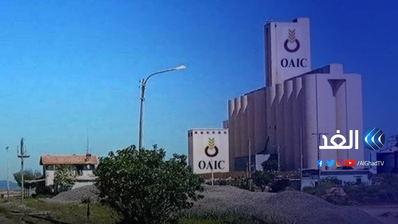 الجزائر | تورط مسؤولين كبار.. تحقيقات حول تهم فساد بالديوان المهني للحبوب