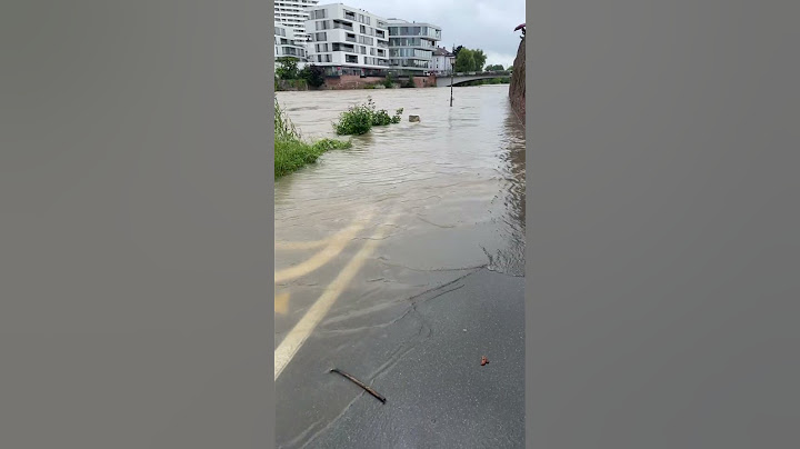 Das Wasser kommt immer näher .. Hochwasser Ulm 01.06.24