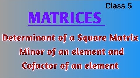 || Determinant of a Square Matrix || Minor of an element and cofactor of an element in Telugu || M1
