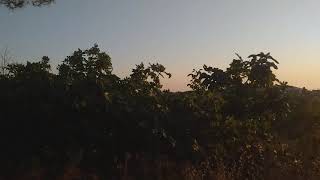 وادي العيون