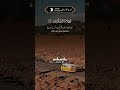 surah al A'raf beautiful Quran recitation by qari #IslamicEducation #viral #Trending #عبدالله_الموسى