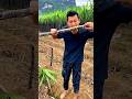 Sugarcane natural landscape garden and fresh eating so sweet #2026 #shorts #sugarcane #viral
