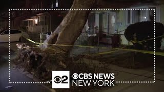 Wind may be to blame for tree falling on house and scaffolding collapse in Queens