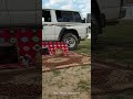أنا شف بالي ياسعد يوم أشب النار