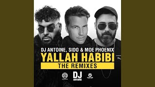 Yallah Habibi (John Ross Remix)