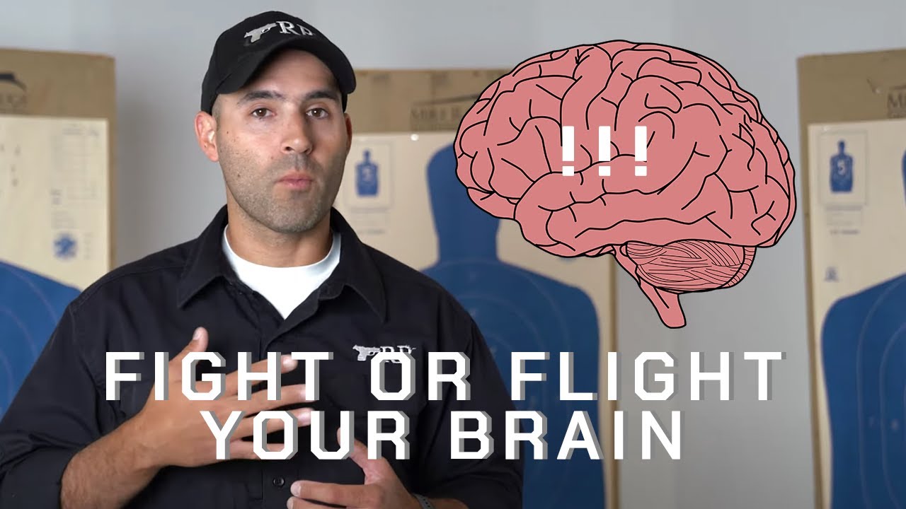 Fight or Flight: your brain