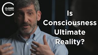 Neil Theise  Is Consciousness Ultimate Reality?