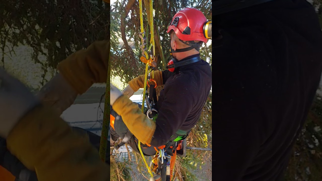 Mur d'escalade extérieur SEQUOIA | Climbit