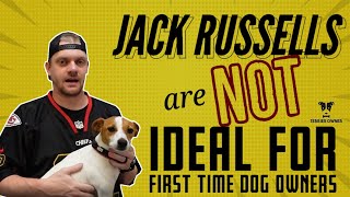 The Reasons Jack Russells Are Not Ideal For First Time Dog Owners: Watch Before Adopting A JRT by Terrier Owner 2,334 views 1 year ago 8 minutes, 3 seconds