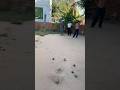 Top fighting | Une partie de pétanque captivante et disputée#MastersDePetanque #Petanque