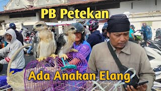 Download Lagu REVIEW PASAR BURUNG PETEKAN SURABAYA. MP3 Download Lagu REVIEW PASAR BURUNG PETEKAN SURABAYA. MP3