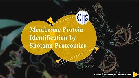 Membrane Protein Identification by Shotgun Proteomics