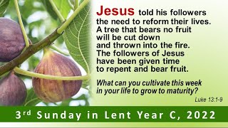 3rd Sunday of Lent Year C (20 March 2022)