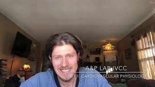 Basic cardiovascular physiology for lab
