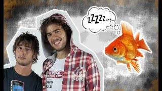 Anche I Muti Russano? [4° Speciale Milione]