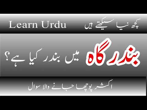 Learn Urdu || بندرگاہ میں بندر کا مطلب کیا ہے؟