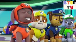 Paw Patrol sneeze compilation