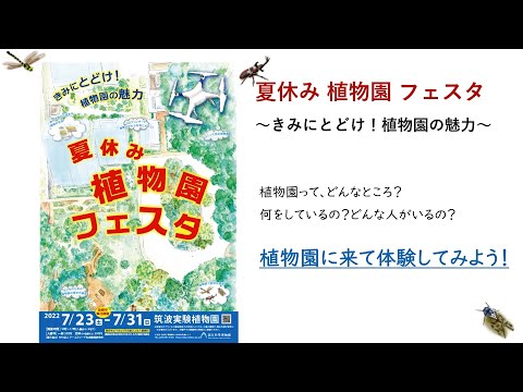 植物園の楽しみ方：知らないと損するアクティビティと守るべき3つのルール