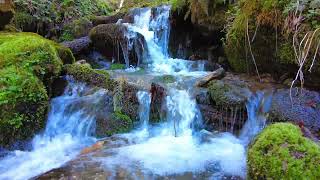 4K HDR Spectacular waterfall flowing in mountain forest  Relaxing waterfall sounds.