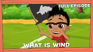 Darwin and Newts | What is Wind