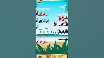 Bird sort - colour puzzle trailer game