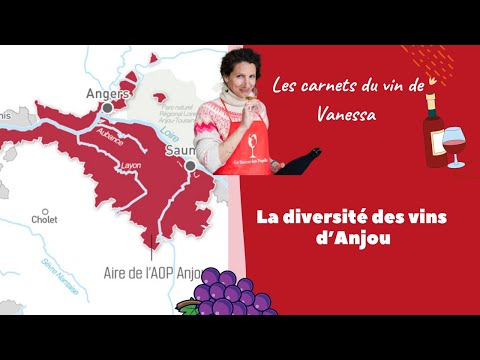 La Paulée des vignerons Bio de l'Anjou - Vanessa, ses carnets du vin #11