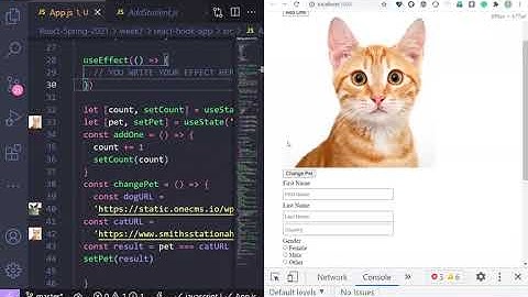 07 - React Hooks, React Form, Uncontrolled Input