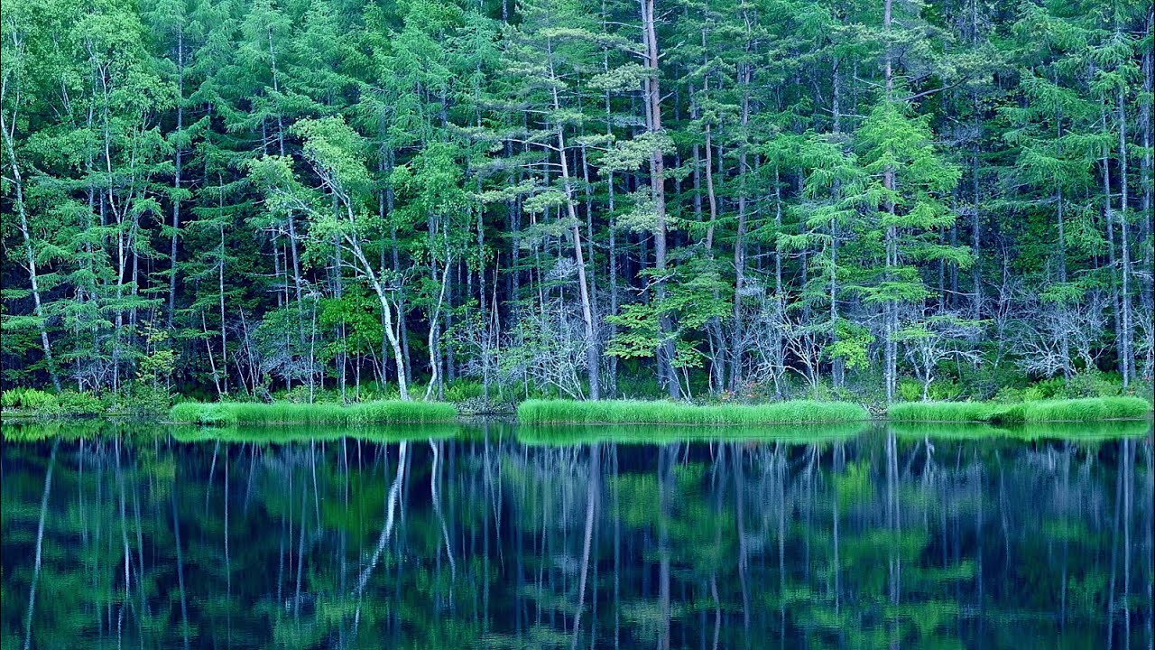 Japan Mishaka pond of summer / 新緑の御射鹿池「死ぬまでに行きたい！日本の絶景」Downconvert 4k ...