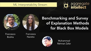 Benchmarking and Survey of Explanation Methods for Black Box Models | AISC