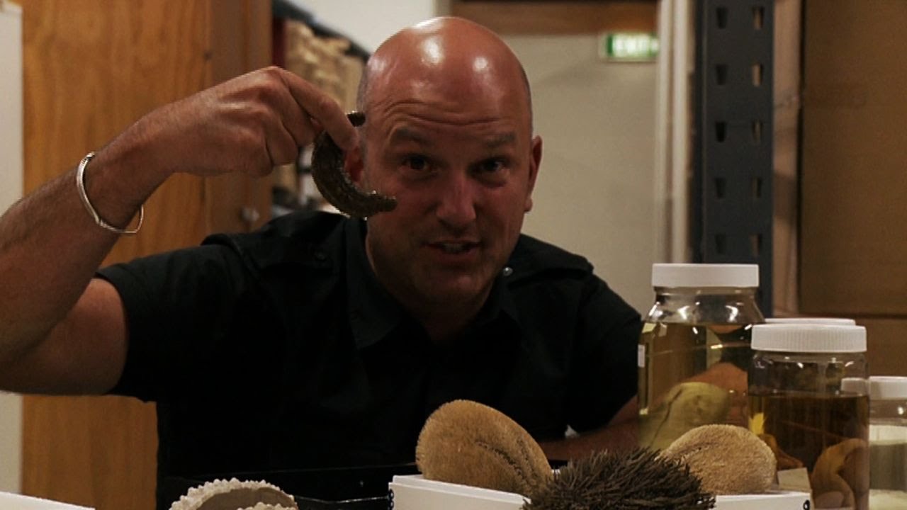 museums in london The Ocean's Tight Five - Tales from Te Papa episode 78
