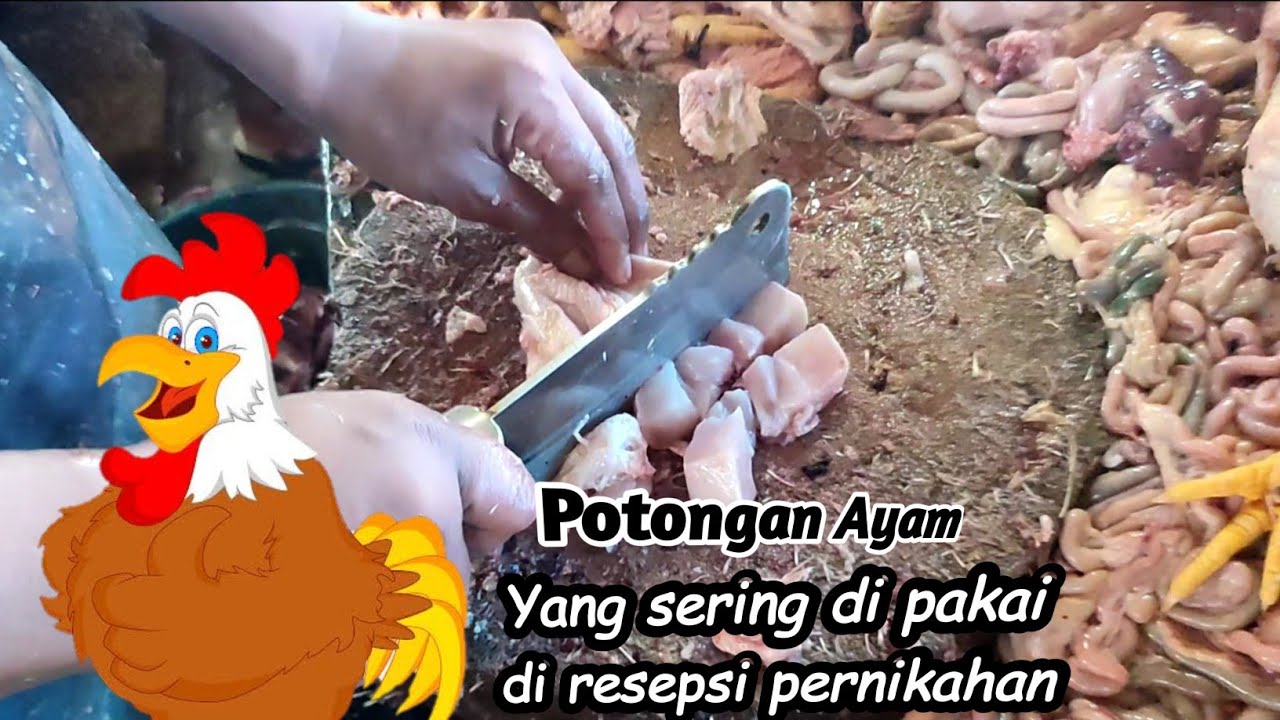 Cara memotong ayam, untuk acara Pernikahan|| skill jualan ayam