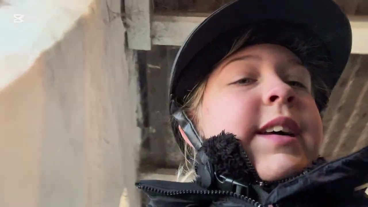 En lille dag i stalden/ lørdags vlog❤️💗