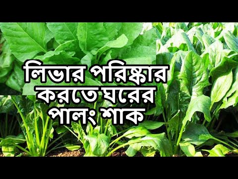 ভিডিও: লিভার ভাজি কিভাবে