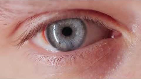 Google SynthID, the Invisible Watermark to Detect AI Content