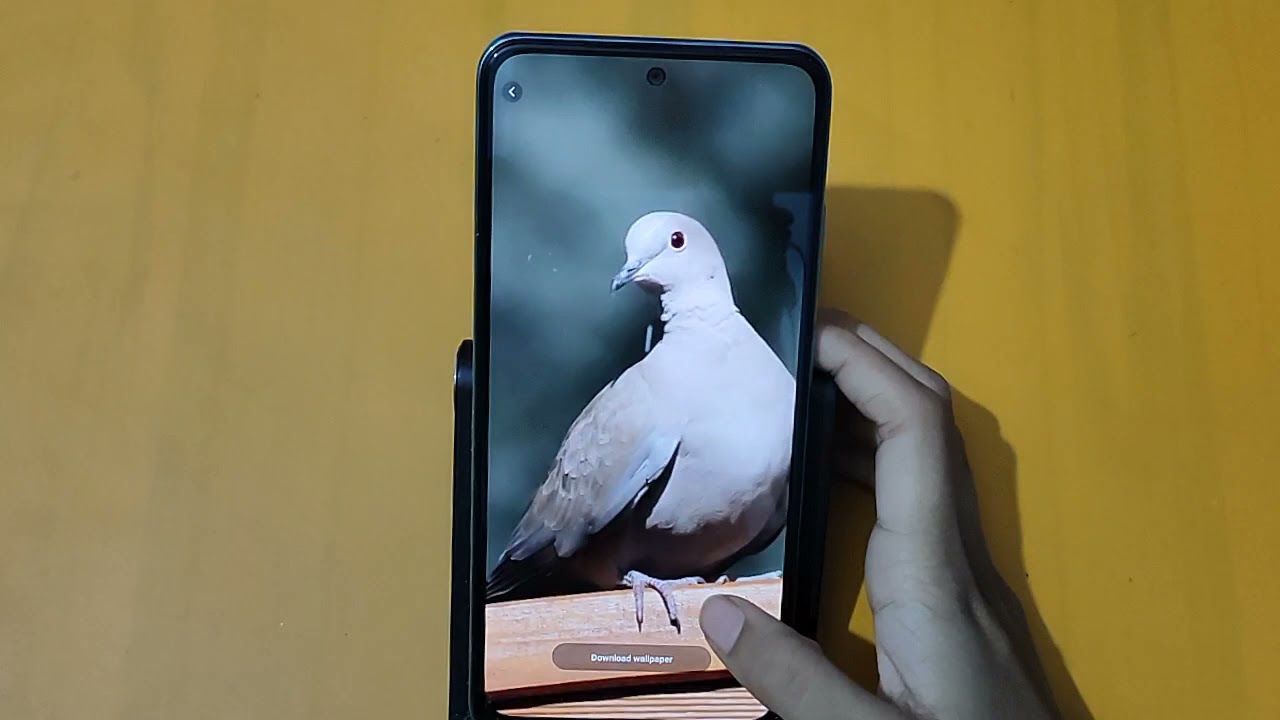 How To Edit Live Wallpaper at Terrell Schneider blog