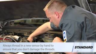 Ford 6.0 Powerstroke IAT Sensor Replacement